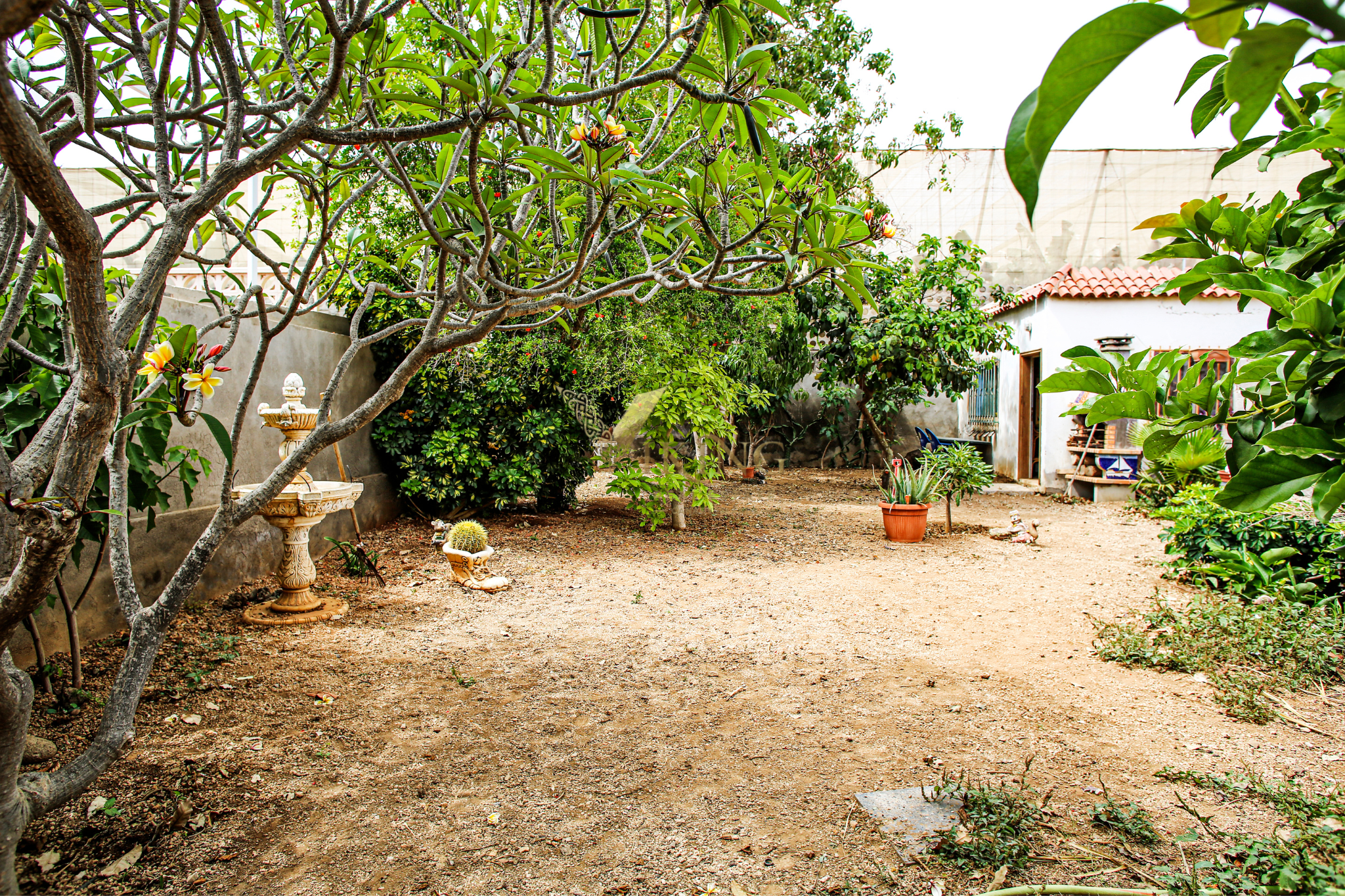Apartment with garden in Guargacho – Arona