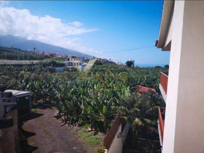 Banana Farm, Puerto de la Cruz